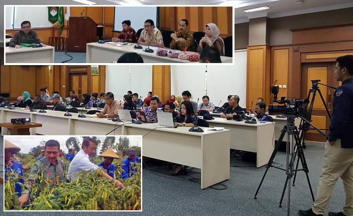 Ketersediaan Cabai Juli 2016 Cukup: Pasokan 99.519 Ton, Kebutuhan 77.539 Ton